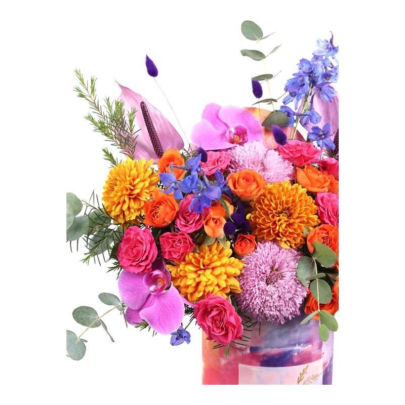 Colorful Box