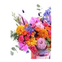 Colorful Box