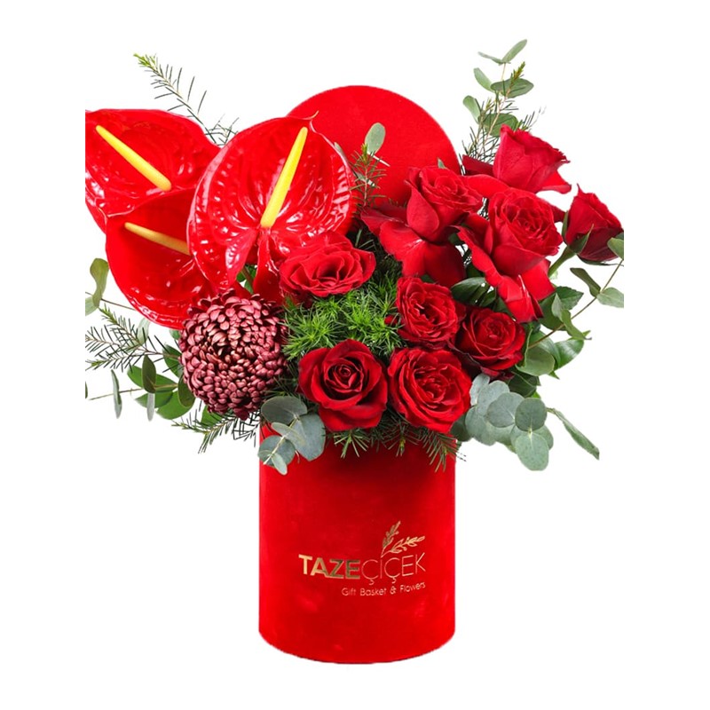 Red Of Box