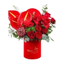 Red Of Box
