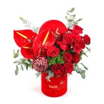 Red Of Box