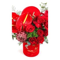 Red Of Box