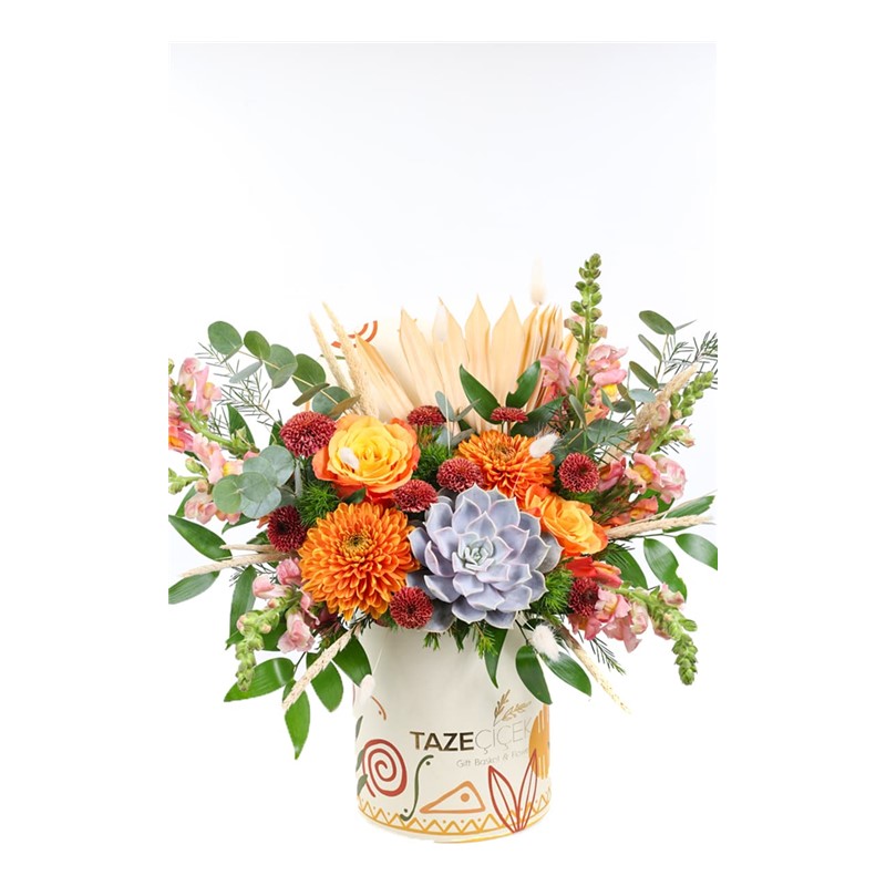 Forest Orange Box