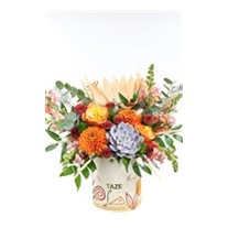 Forest Orange Box