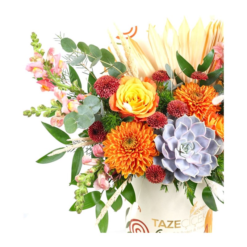 Forest Orange Box