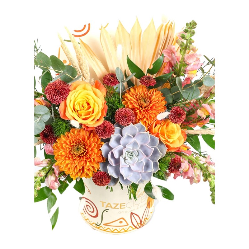Forest Orange Box