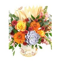 Forest Orange Box