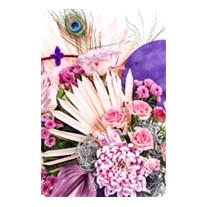 Peacock Of Box
