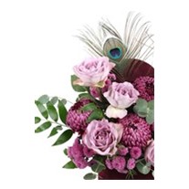 Lilac Burgundy Box