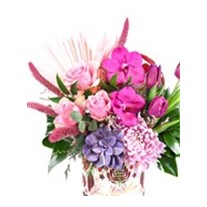 Luxury Tulip Box