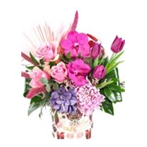 Luxury Tulip Box