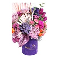 Purple Velvet Box