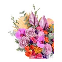 Cool Box Flowers