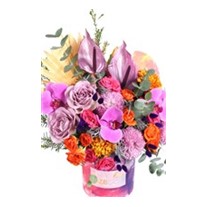 Cool Box Flowers