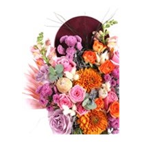 Burgundy Effect Of Orange
