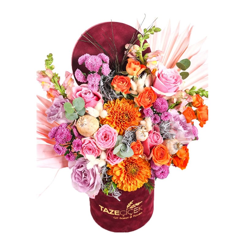 Burgundy Effect Of Orange