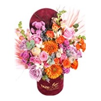 Burgundy Effect Of Orange