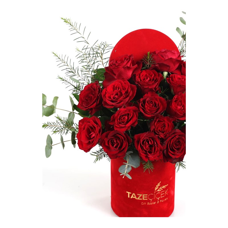 Red Velvet Box