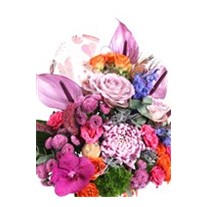 Mix Flower Of Box