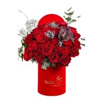 Vanda Of Red Rose