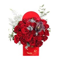 Vanda Of Red Rose