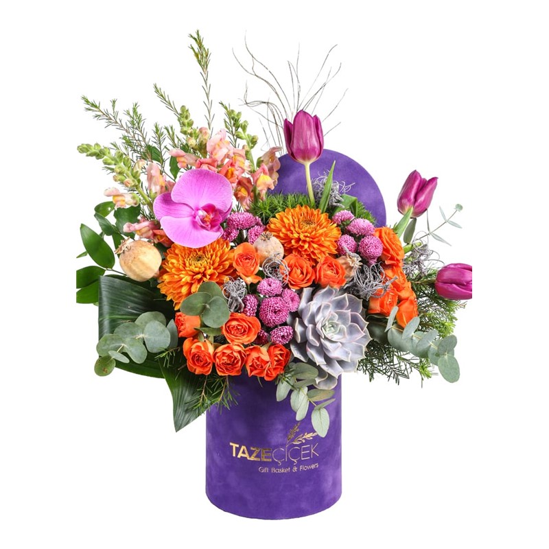 Tulip Of Purple Box