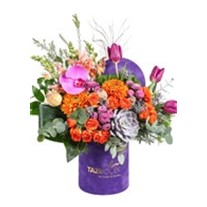 Tulip Of Purple Box