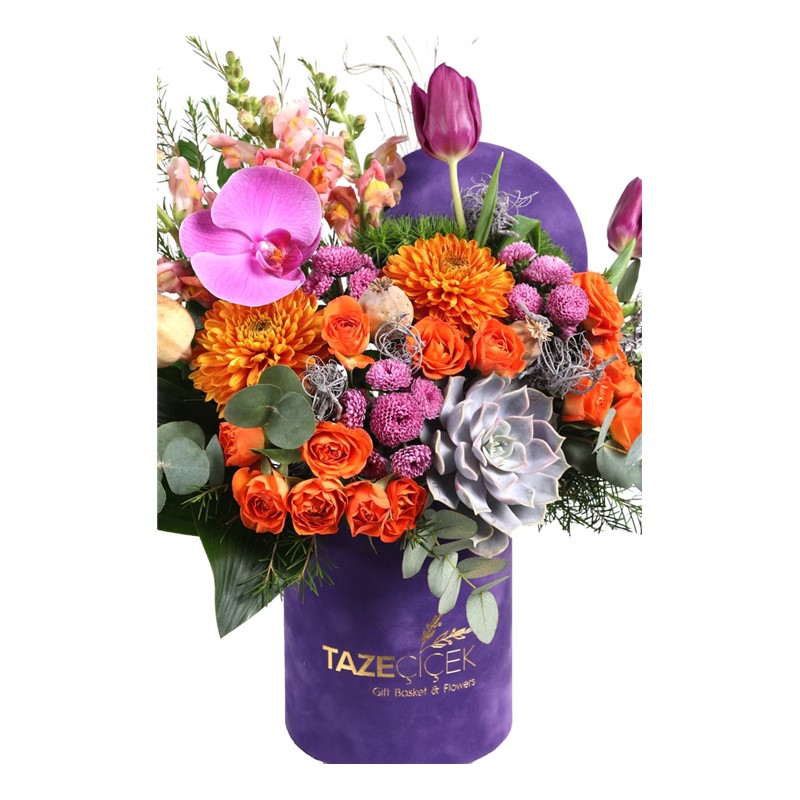 Tulip Of Purple Box