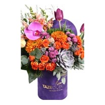 Tulip Of Purple Box