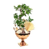Luxury Bonsai Tree