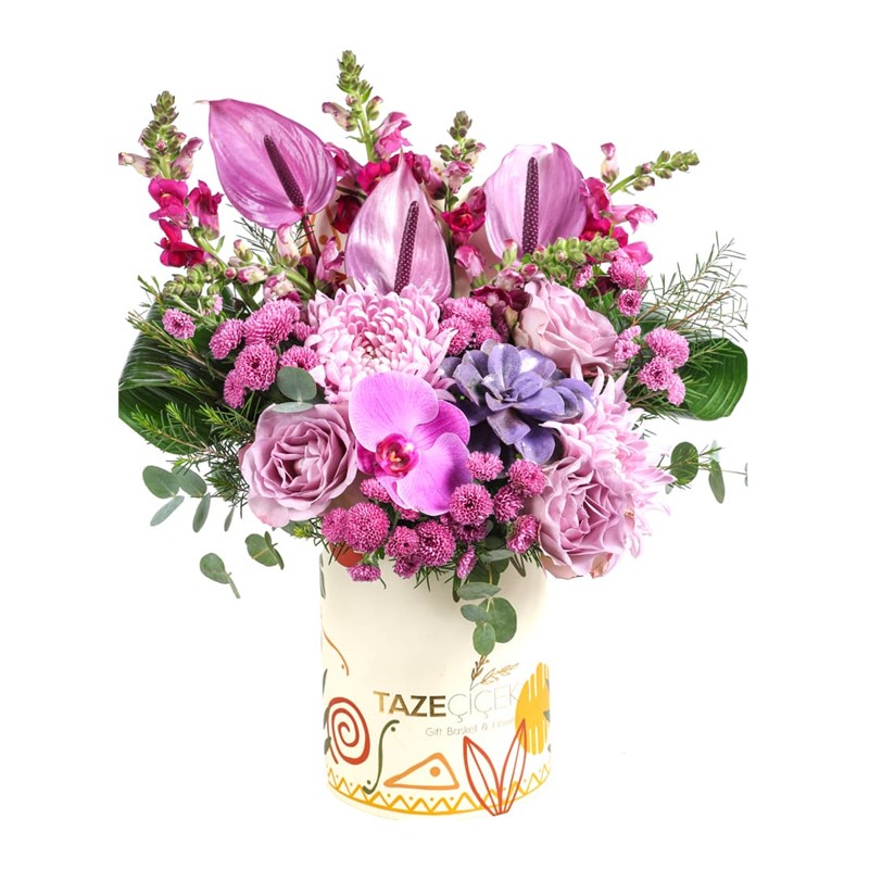 Lilac Harmony Box