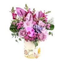 Lilac Harmony Box