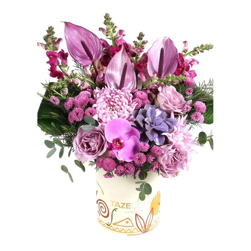 Lilac Harmony Box