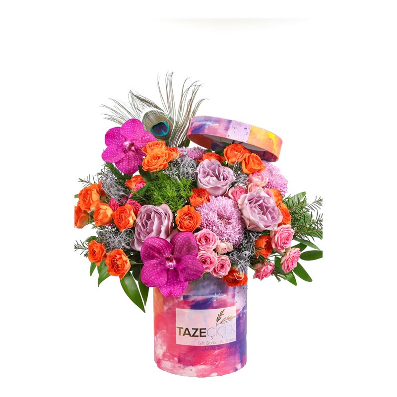 Mixed Color Box