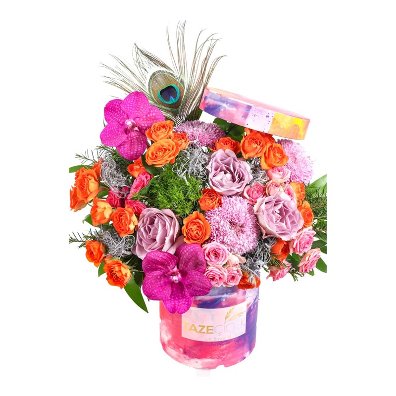 Mixed Color Box