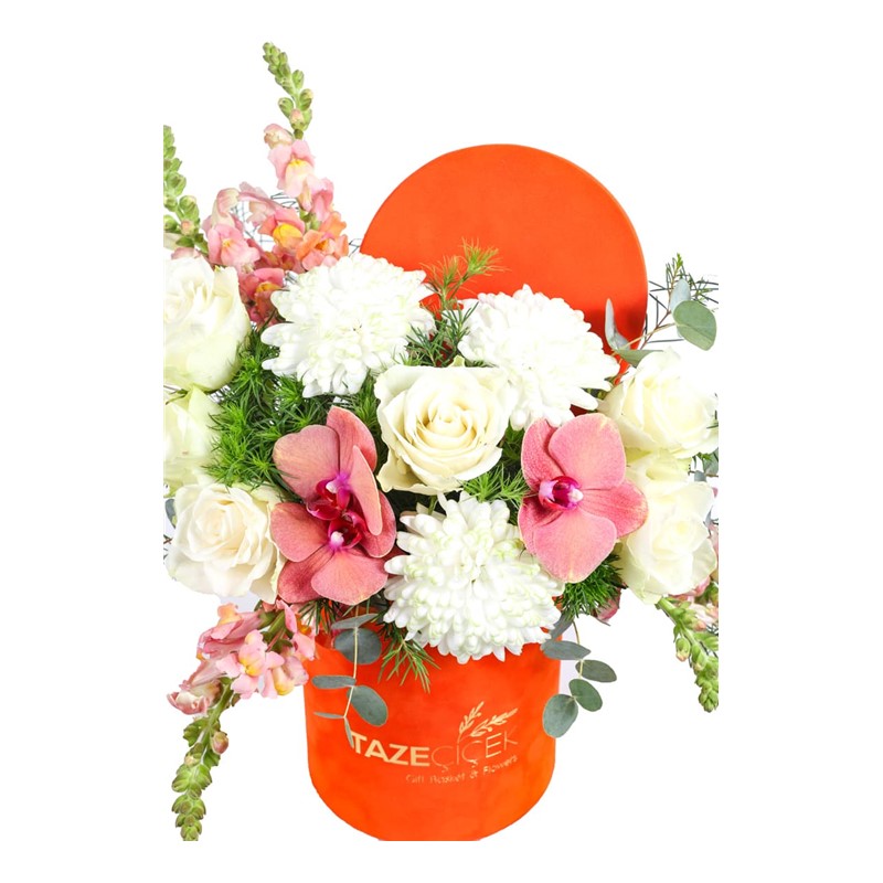 White Mood Orange Box