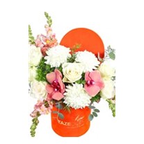 White Mood Orange Box