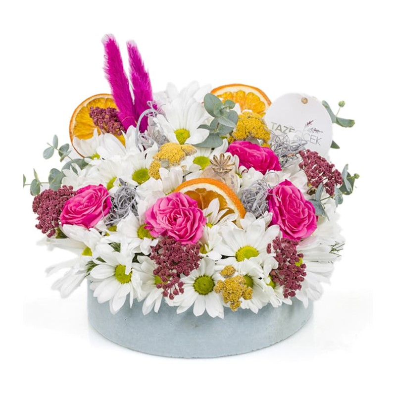 Natural Light Pink Daisy