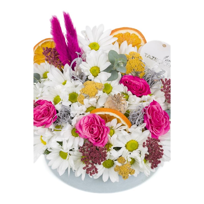 Natural Light Pink Daisy
