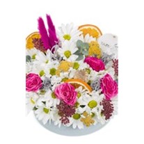 Natural Light Pink Daisy