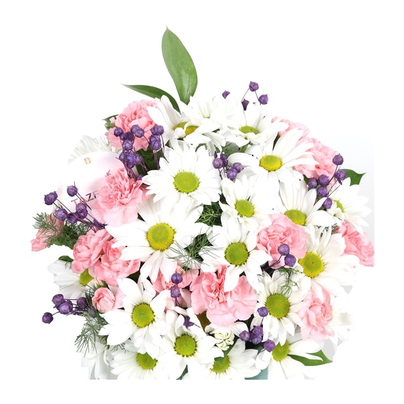 Secret Carnation Aranjman