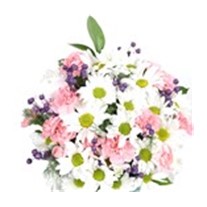 Secret Carnation Aranjman
