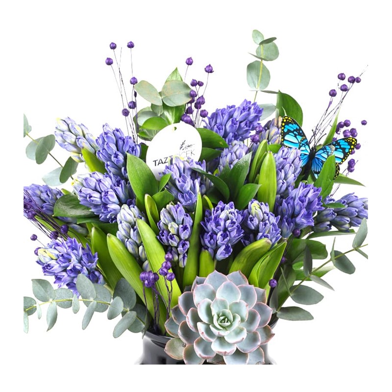 Purple Hyacinth Vase