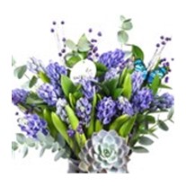 Purple Hyacinth Vase