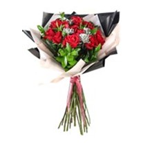 Succulent Of Red Rose