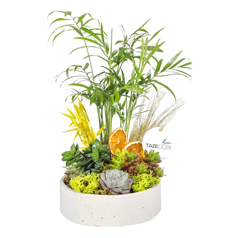 Living Spirit Green Garden Teraryum
