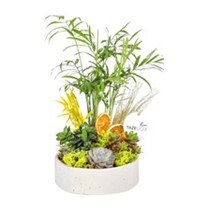 Living Spirit Green Garden Teraryum