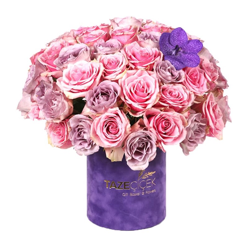 World Of Roses