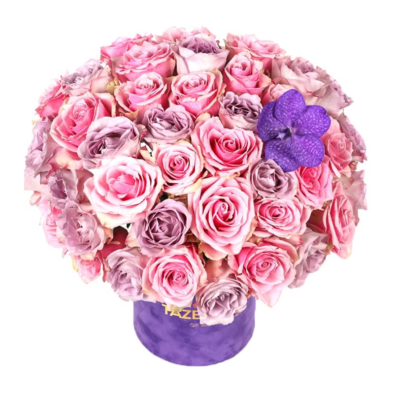 World Of Roses