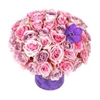 World Of Roses
